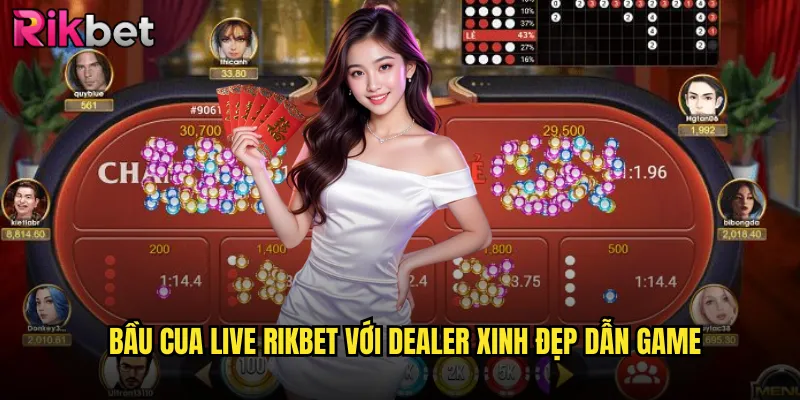 Bầu Cua Live rikbet Với Dealer Xinh Đẹp Dẫn Game